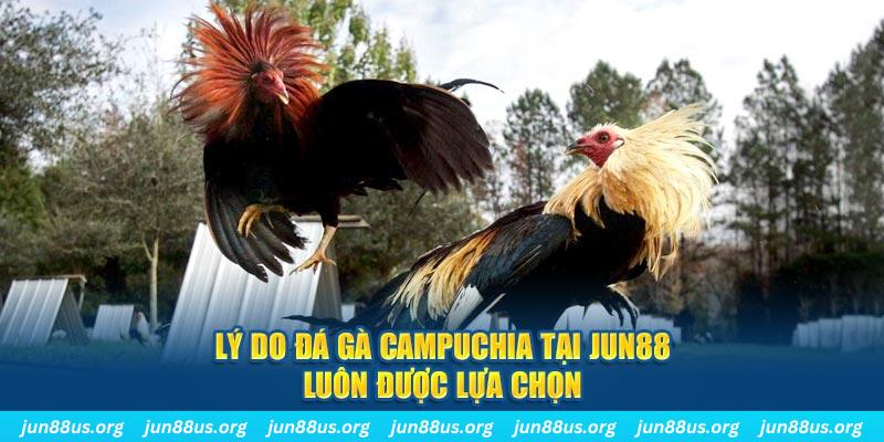 đăng nhập mậu binh