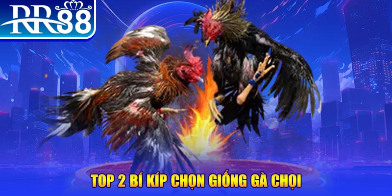 w88 club đá gà hôm nay