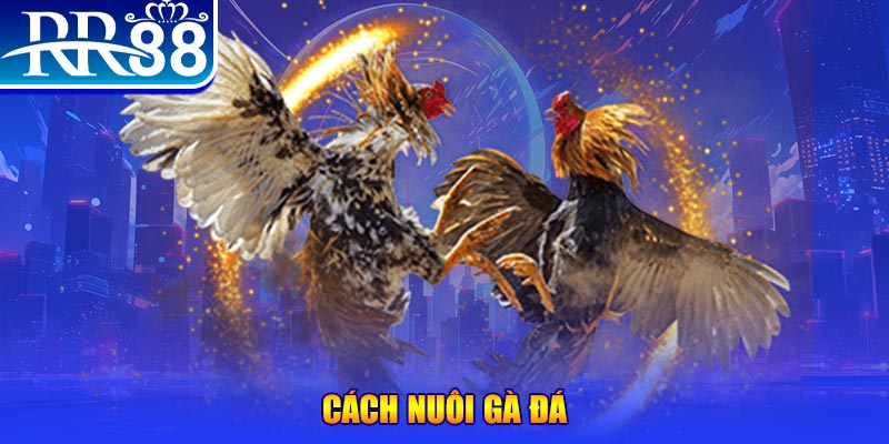 w88 club khi nào thì nổ hũ tài xỉu