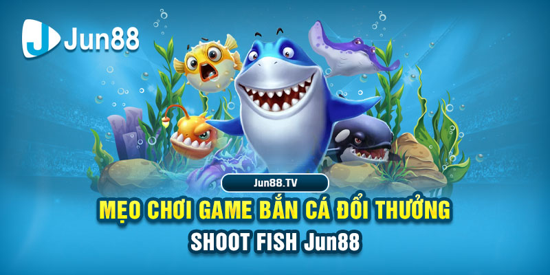 tai game danh bai online tren may tinh