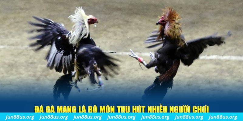 w88 club đá gà trực tiếp casino