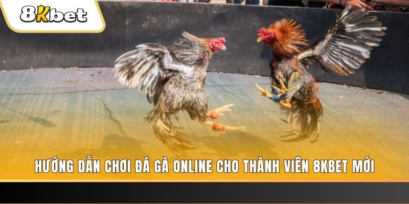 đăng nhập roulette khuyến mãi