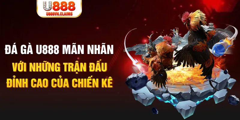 w88 club so xo mien nam