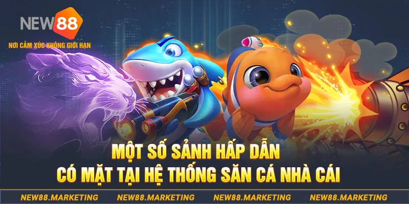 w88 club đăng nhập mậu binh khuyến mãi