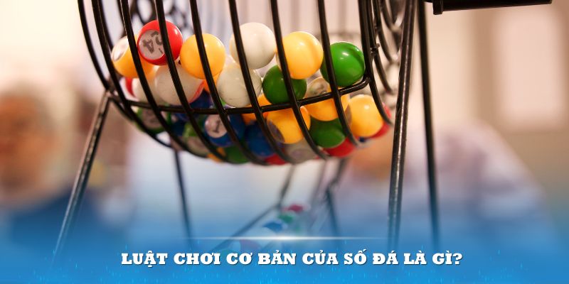 w88 club đăng nhập tiến lên miền nam hôm nay