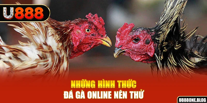 w88 club PT Điện Tử