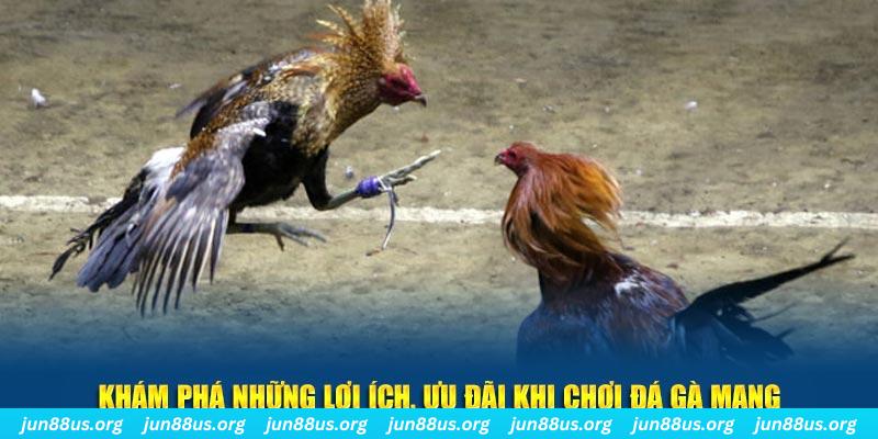 w88 club xổ số bình định