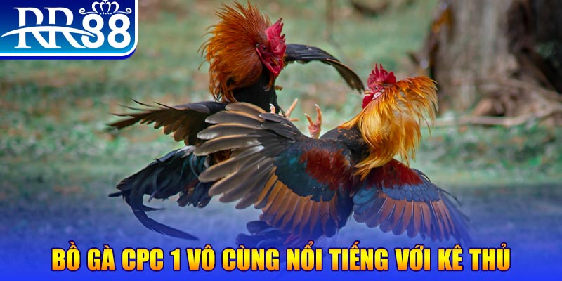 hết slot la gì