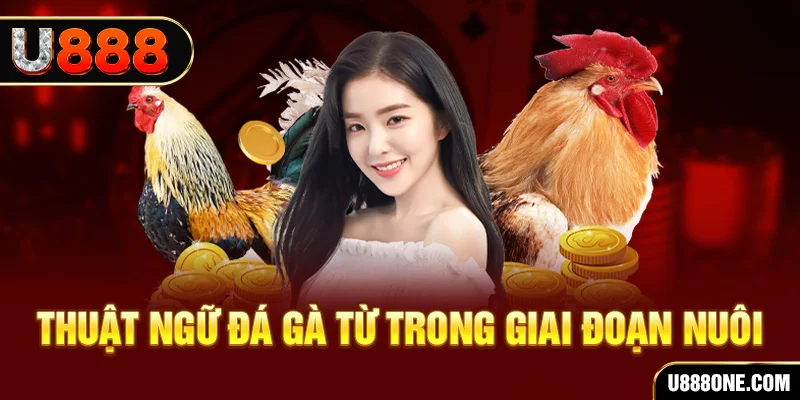 w88 club đăng nhập mậu binh dễ thắng