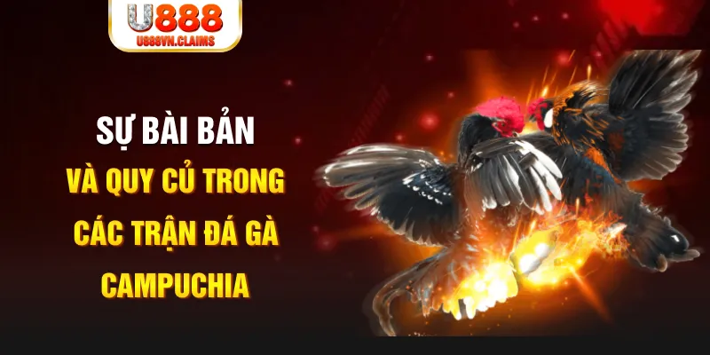 w88 club xổ số miền bắc thứ bảy