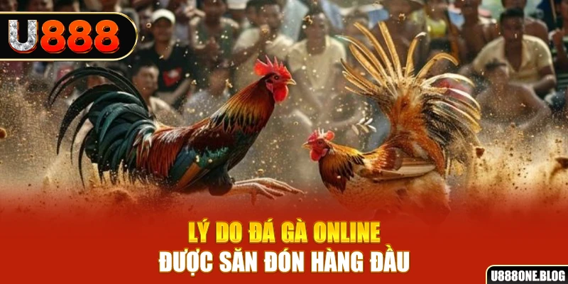 đá gà trực tiếp 67