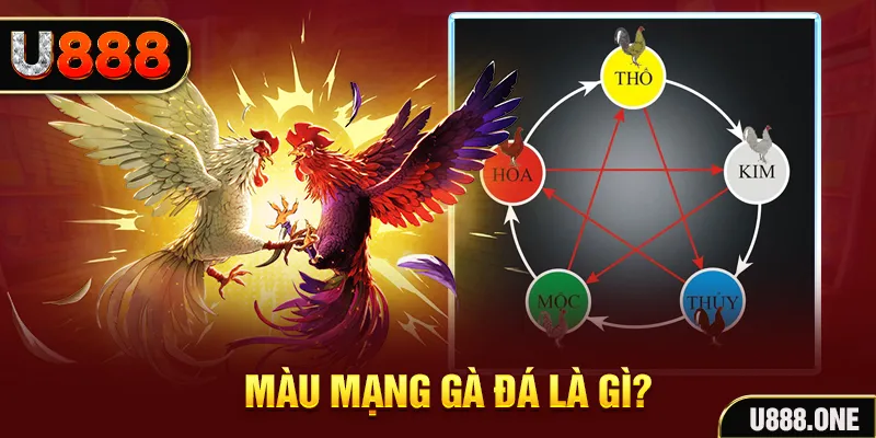 w88 club Đại Chiến Đỏ Đen