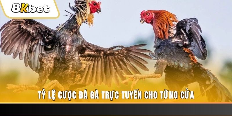 w88 club đá gà trực tiếp c1