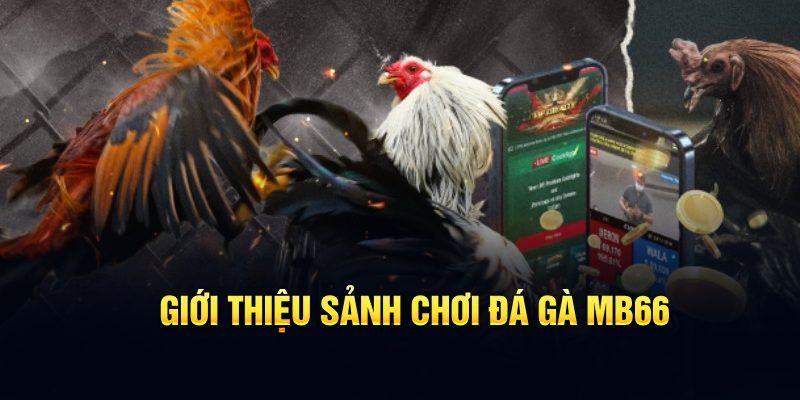 w88 club nhạc slot là gì