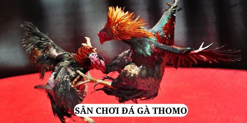 w88 club WM Trực Tuyến